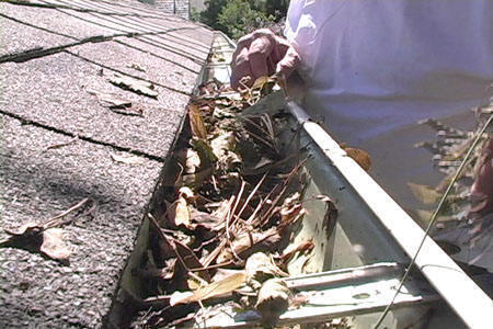 Gutter Cleaning