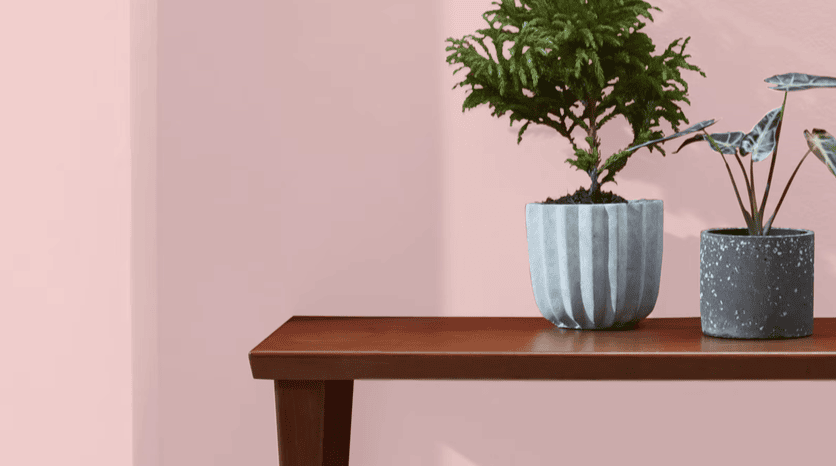 How to Select a Great Front Door Color 6 Image 4 8 26 at 1.56 PM